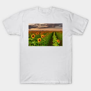 Sunflower Soldiers and Before A Colorado Summer Storm T-Shirt